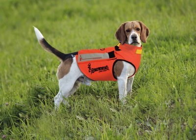 Gilets de protection pour chien