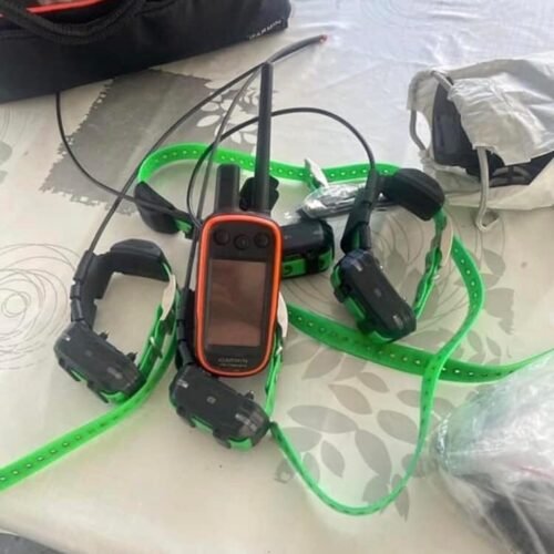Système Garmin Alpha 100 avec 4 Colliers TT15 (OCCASION)