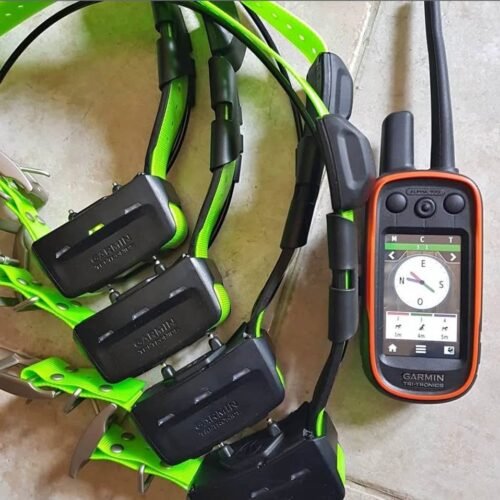 Système Garmin Alpha 100 avec 4 Colliers TT15 (OCCASION)