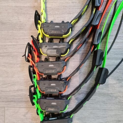 Lot de 6 Colliers Dogtra Pathfinder (OCCASION)
