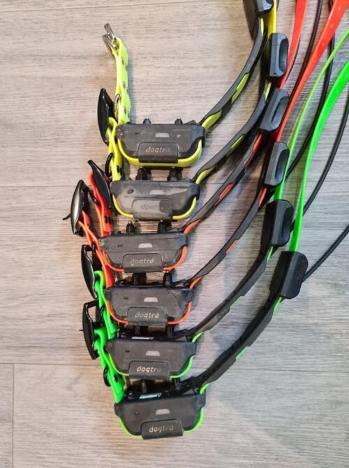 Lot de 6 Colliers Dogtra Pathfinder (OCCASION) – Image 2