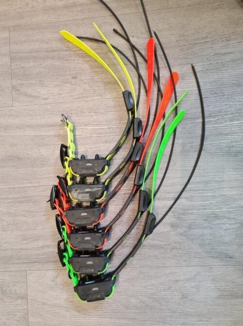 Lot de 6 Colliers Dogtra Pathfinder (OCCASION)