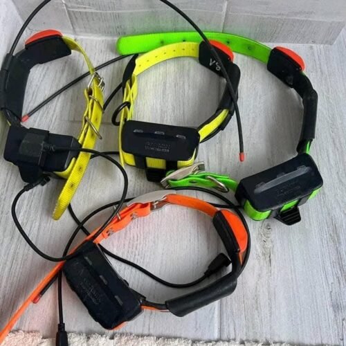 Système Garmin Alpha 100 (x2) avec 4 Colliers T5 (OCCASION)