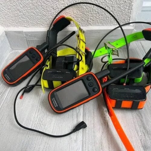 Système Garmin Alpha 100 (x2) avec 4 Colliers T5 (OCCASION)