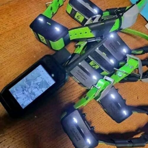 Système Garmin Alpha 200i avec 7 Colliers TT15X (OCCASION)