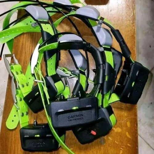 Système Garmin Alpha 200i avec 7 Colliers TT15X (OCCASION)