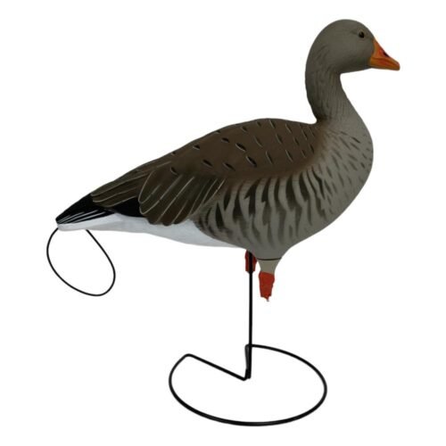 APPELANT OIE CENDREE PG SUR PIED X6