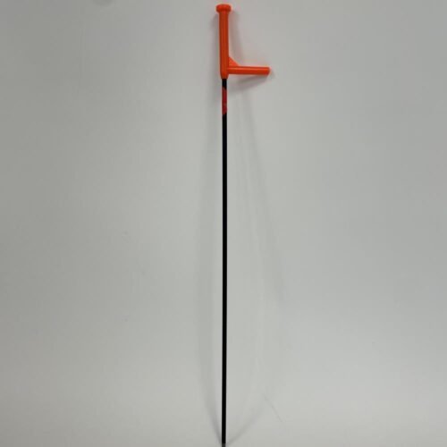 APPELANT OIE CENDREE PG SUR PIED X6 – Image 5