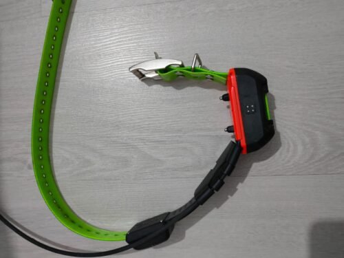 Le Système de Suivi Garmin Alpha 300i avec les Colliers KT25x et KT15x (OCCASION) – Image 6