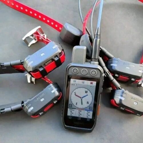 Garmin Alpha 300 avec 4 colliers TT25 (OCCASION)