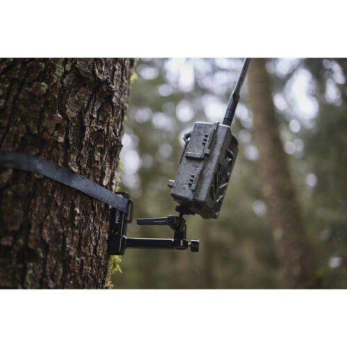 Appareil-photo spécial gibier ZEISS Secacam 5 – Image 6