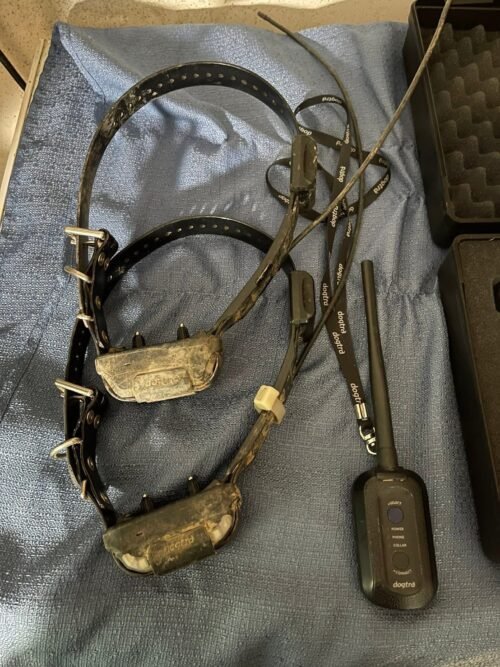 DOGTRA Pathfinder Mini et 2 Colliers (OCCASION NEUVE)