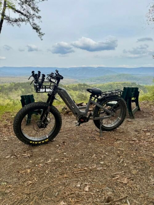 E-Bike Urbain Performance (Type "C9") OCCASION