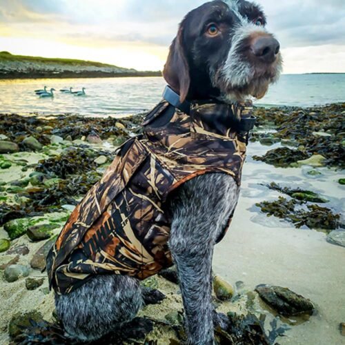 Gilet De Flottaison Canihunt Neopro V2 – Image 3