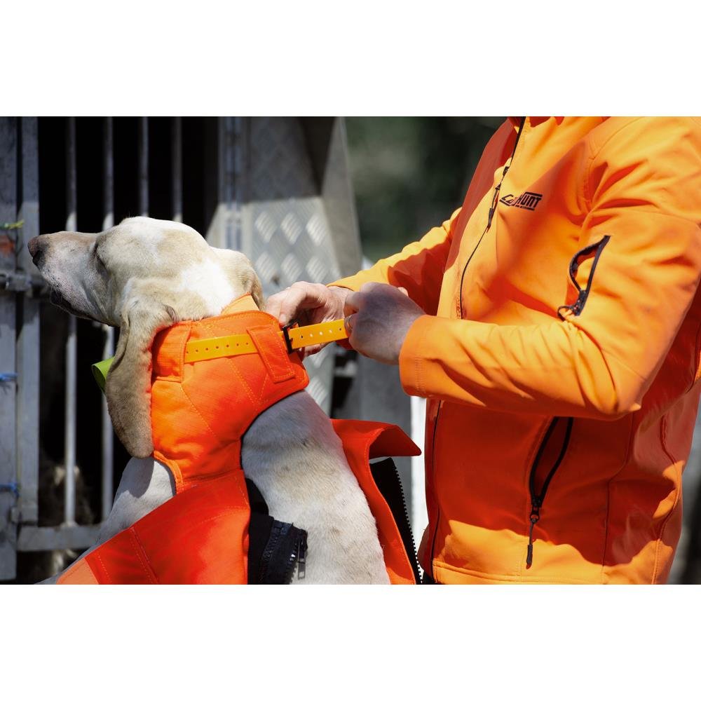 Gilet Protect PRO L’ORIGINAL ® – Image 4