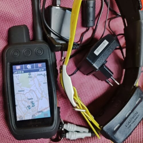Pack Garmin Alpha 200i F et 1 Collier T5F (OCCASION)