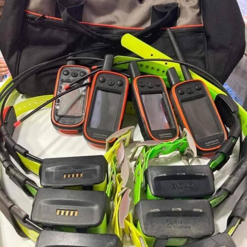 Ensemble Garmin Alpha 100 Avec Collier TT15 Et Collier T5 (OCCASION)