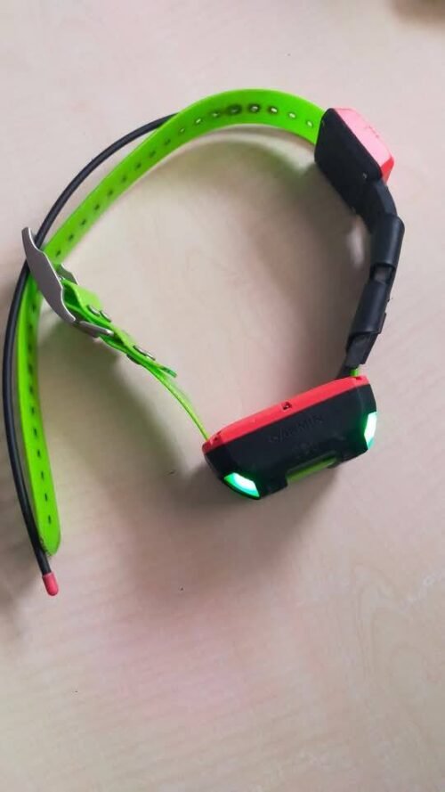 Collier GPS GARMIN Alpha T 20 (OCCASION) – Image 8