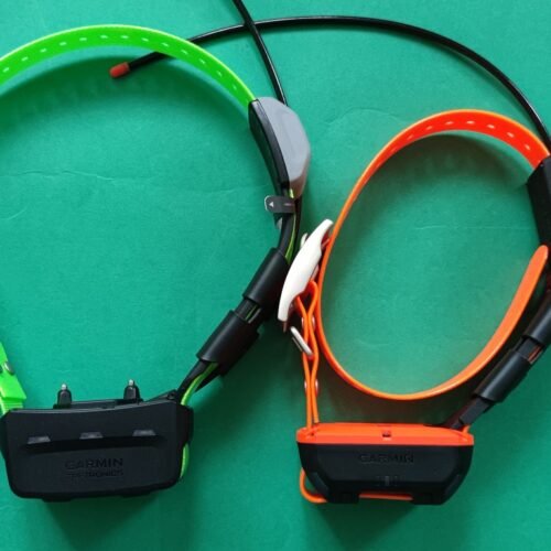Les Colliers Garmin de Dernière Génération : Alpha T20K et KT15X (OCCASION)