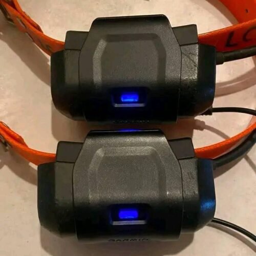 Système Garmin Astro 320 avec 2 Colliers DC40 (OCCASION)