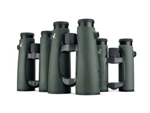 Jumelles Swarovski EL 8,5x42 WB vert Année 2025
