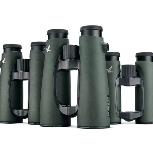 Jumelles Swarovski EL 8,5×42 WB vert Année 2025
