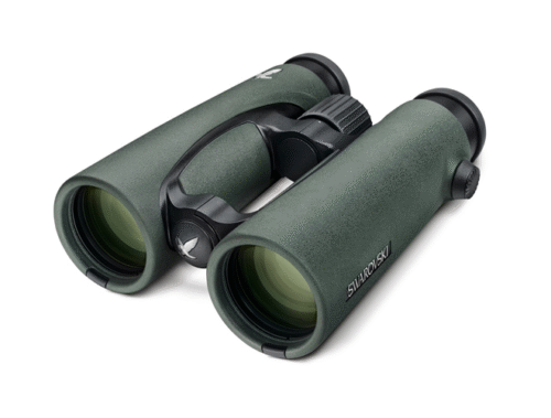 Jumelles Swarovski EL 8,5x42 WB vert Année 2025 – Image 3