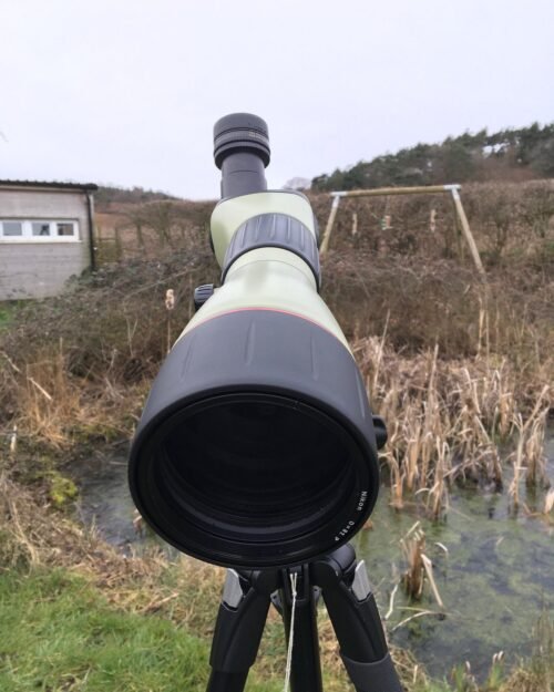 Longue-vue d'observation Nikon Fieldscope 25-75x82 ED (vision directe) OCCASION – Image 3