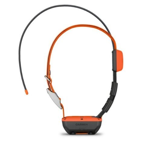 Pack Garmin Alpha 300 et Collier T20 avec Carte topographique Garmin V6 PRo France Entière – Image 6
