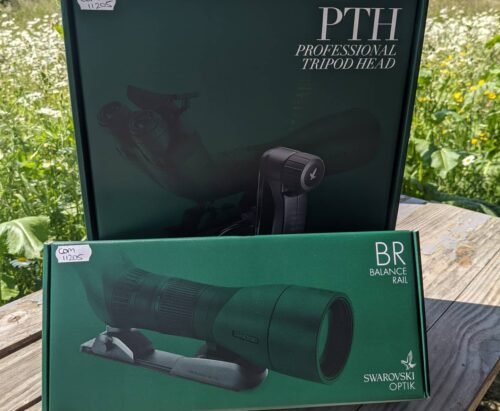 Swarovski Montage PTH - BR (OCCASION)