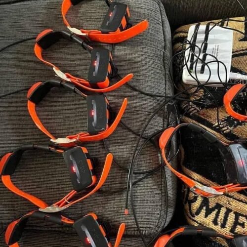 Pack Exclusif de 20 Colliers Garmin TT15 (OCCASION)