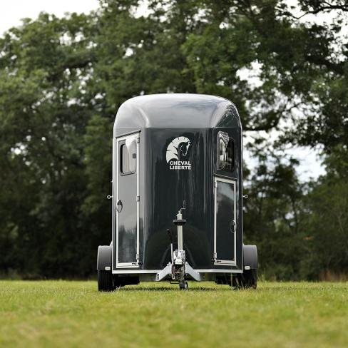 Van Gold 3 Cheval Liberté – Image 3