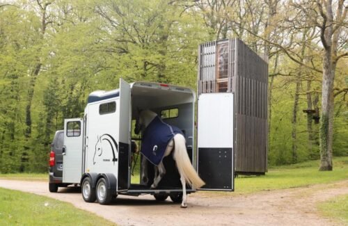 Van Touring Jumping Luxe Cheval Liberté – Image 3