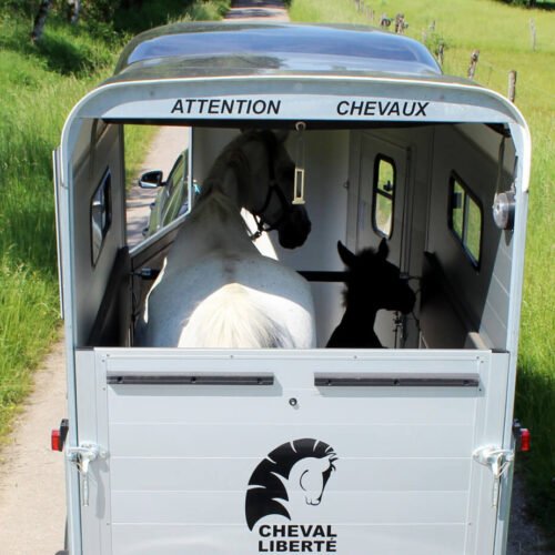 Van Touring One ½ Cheval Liberté