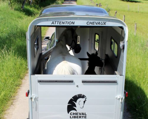 Van Touring One ½ Cheval Liberté – Image 7