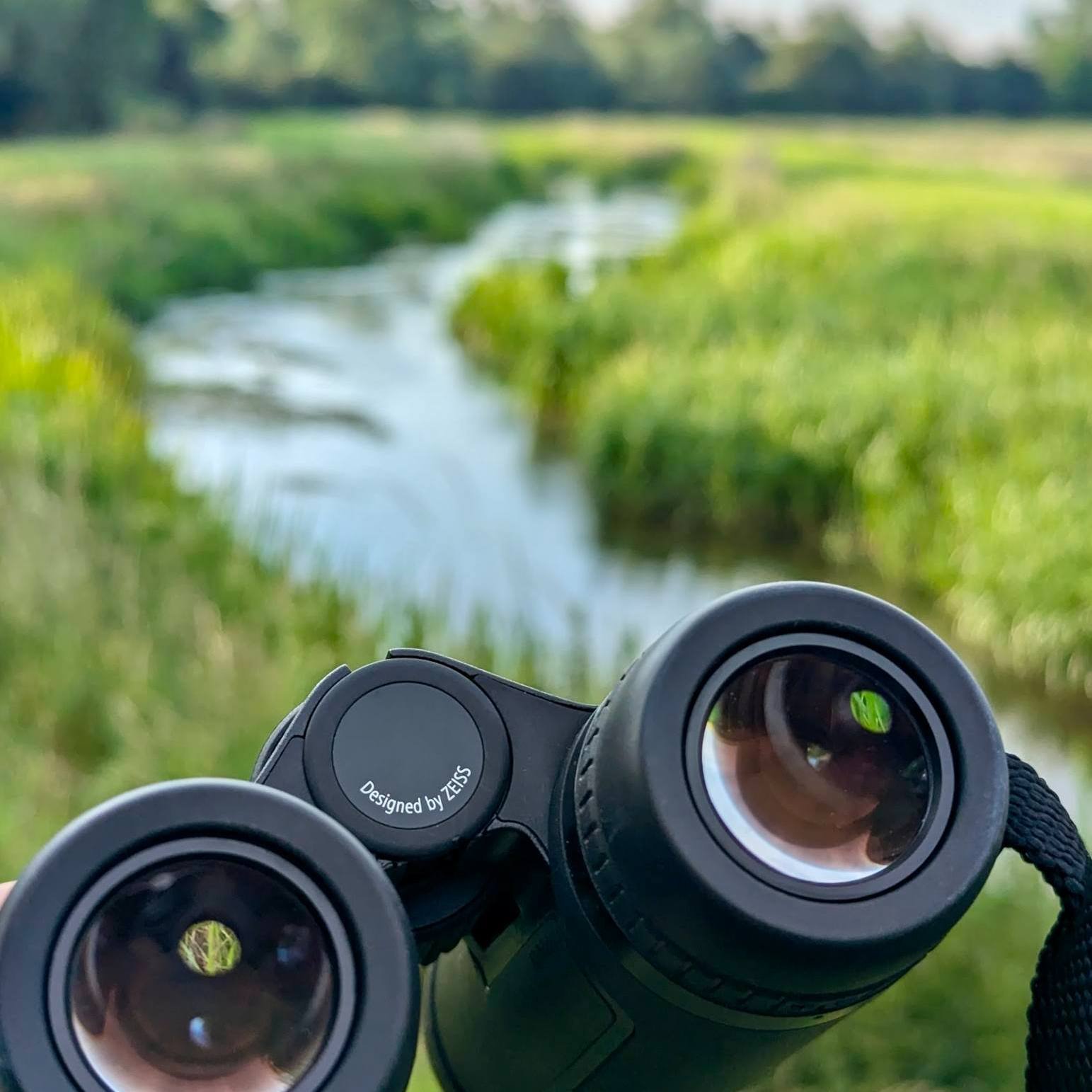 Jumelles Zeiss Victory SFL - 8x40 - Noir (OCCASION) – Image 3