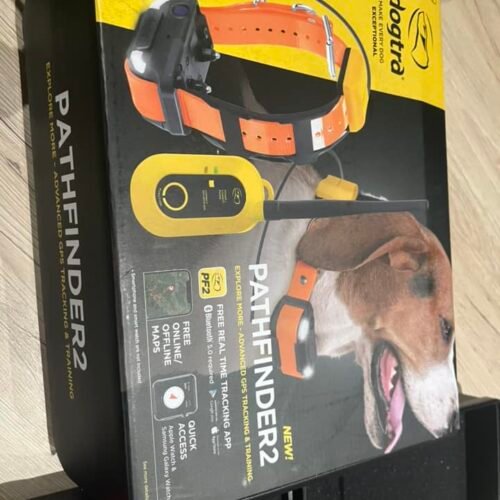 Dogtra Pathfinder 2 (OCCASION)