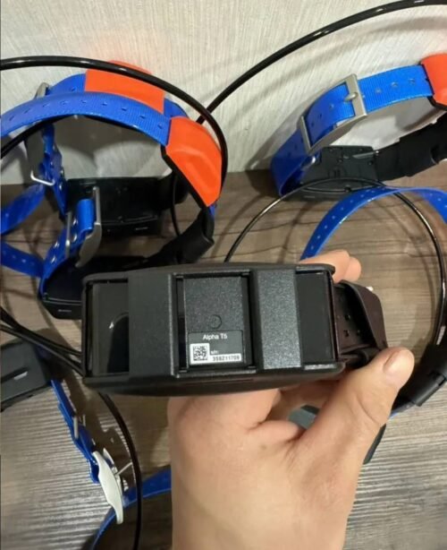 Pack Exceptionnel de 8 Colliers Garmin T5X – Image 2