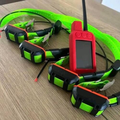 Pack Garmin Alpha 300 + 4 Colliers TT25