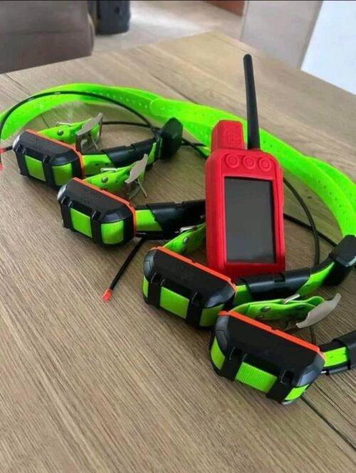 Pack Garmin Alpha 300 + 4 Colliers TT25