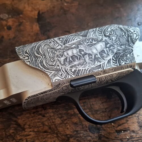 Boîtier Blaser R8 Ultimate avec Bloc Détente Gravés