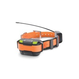 Collier GPS et Dressage Dogtra Pathfinder