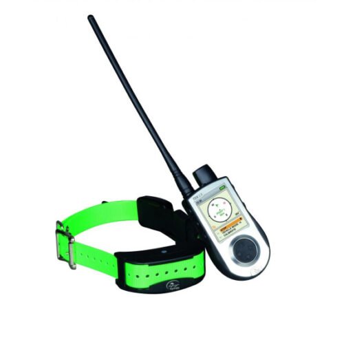 Pack SportDog TEK 1.5 GPS + Collier de Dressage