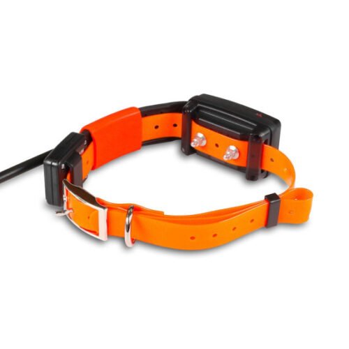 Collier Supplémentaire Dogtrace X30-T Court