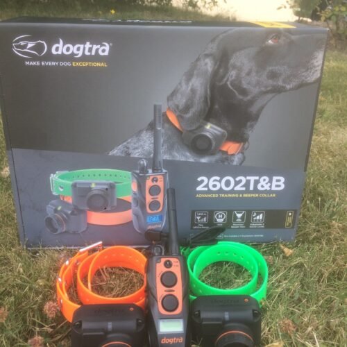 Dogtra 2602 T&B