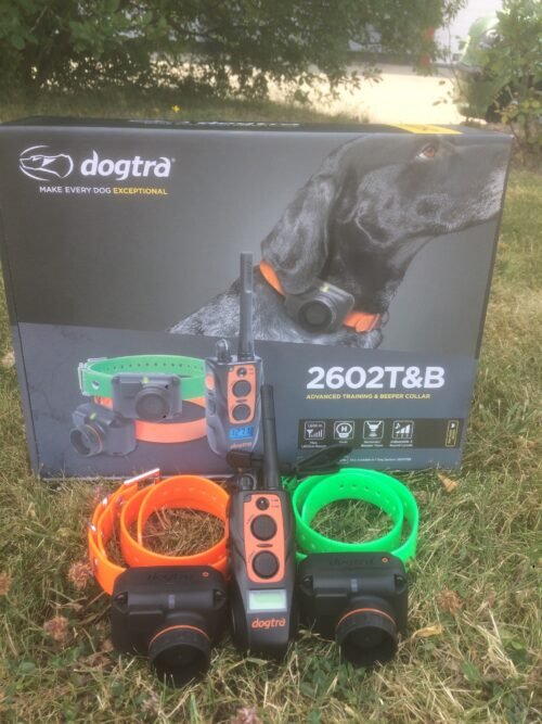 Dogtra 2602 T&B – Image 2
