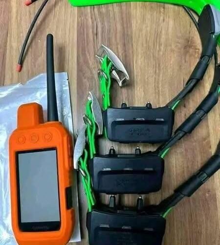 Pack Garmin Alpha 200i et 3 Colliers TT15