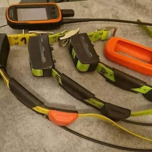 Pack Garmin Alpha 100 avec 3 Colliers TT15