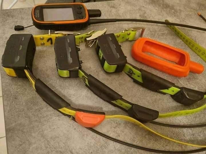 Pack Garmin Alpha 100 avec 3 Colliers TT15 – Image 2