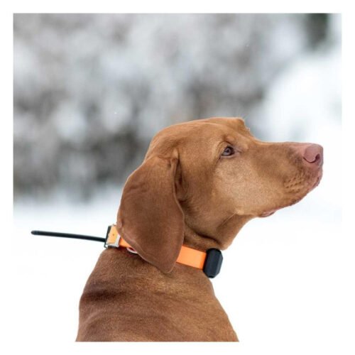 Kit Dogtrace X30-B GPS – Image 4